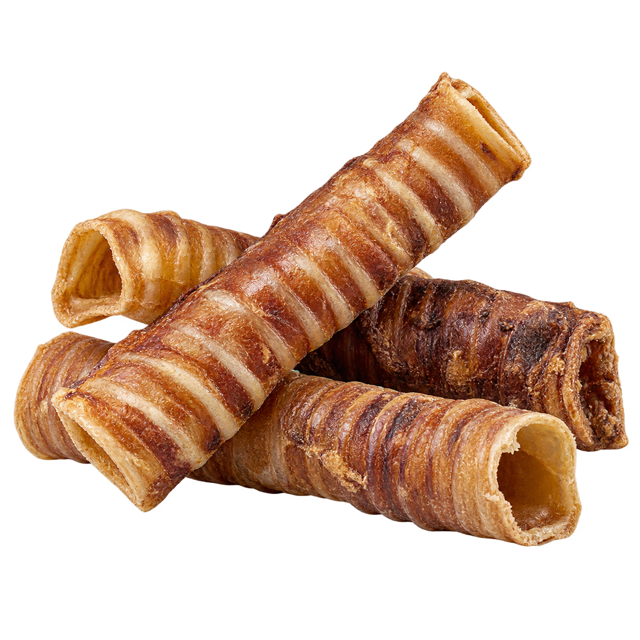 Trachea